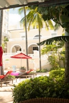 A tropical patio with lounge chairs under red umbrellas and palm trees, set against a backdrop of an elegant building with arched windows and balconies. The area is surrounded by lush greenery and sunlight filters through the leaves, creating a serene and inviting atmosphere.