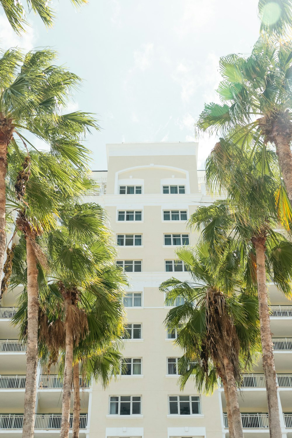 a tall white building surrounded by palm trees