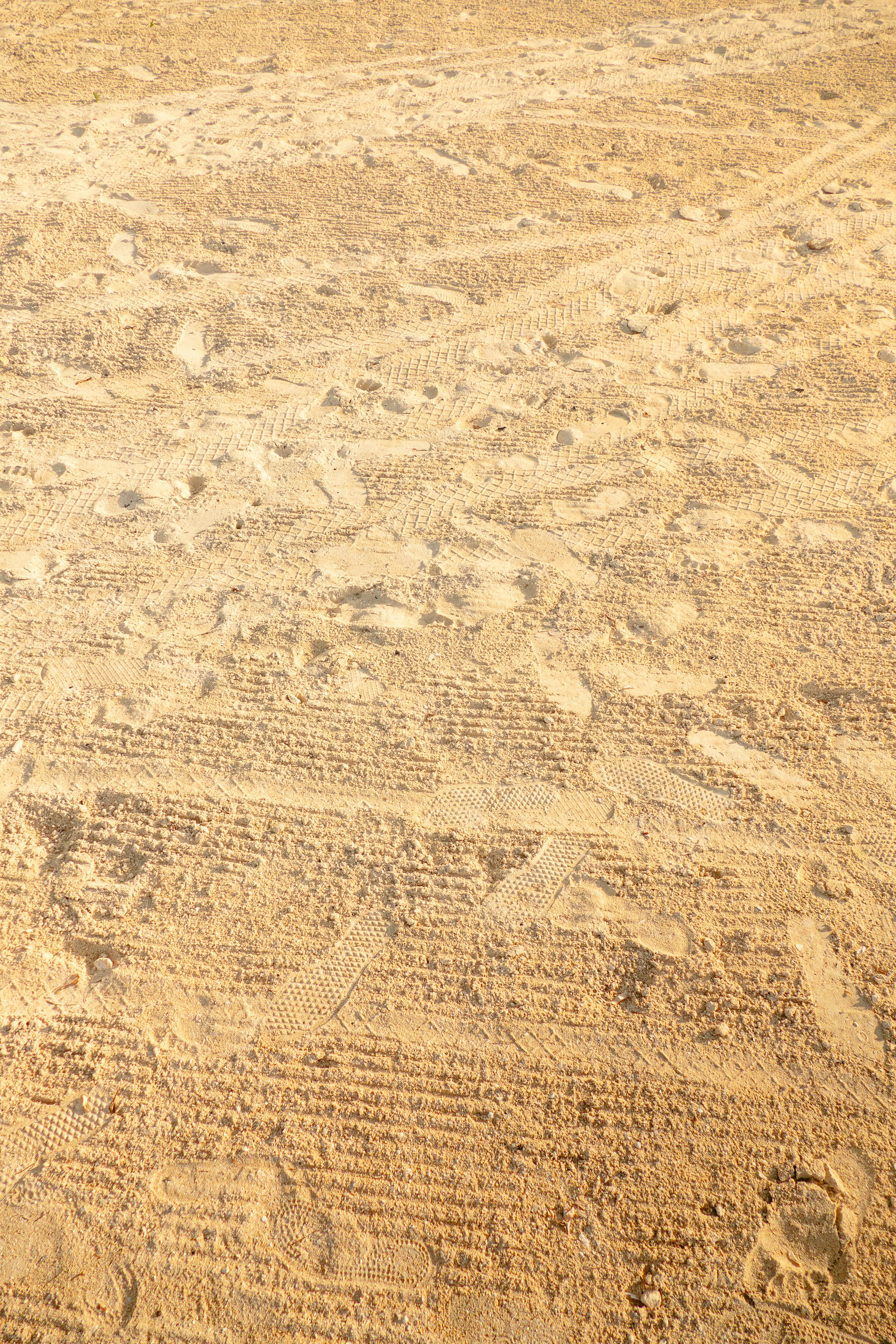 a person riding a horse in the sand