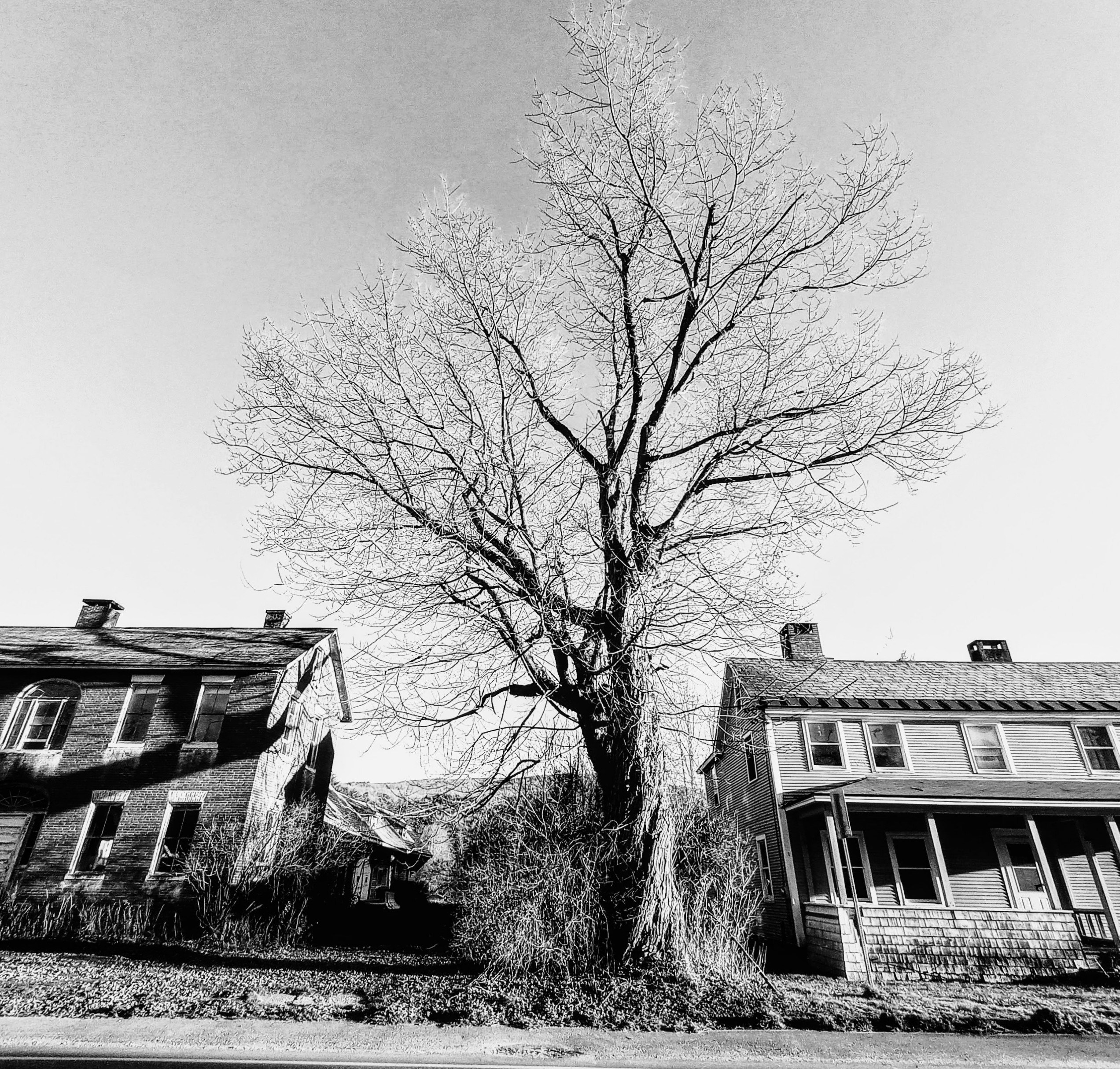 Photo by grimmie_and_ghostlie