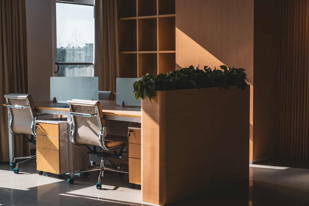 a desk with a plant in the middle of it