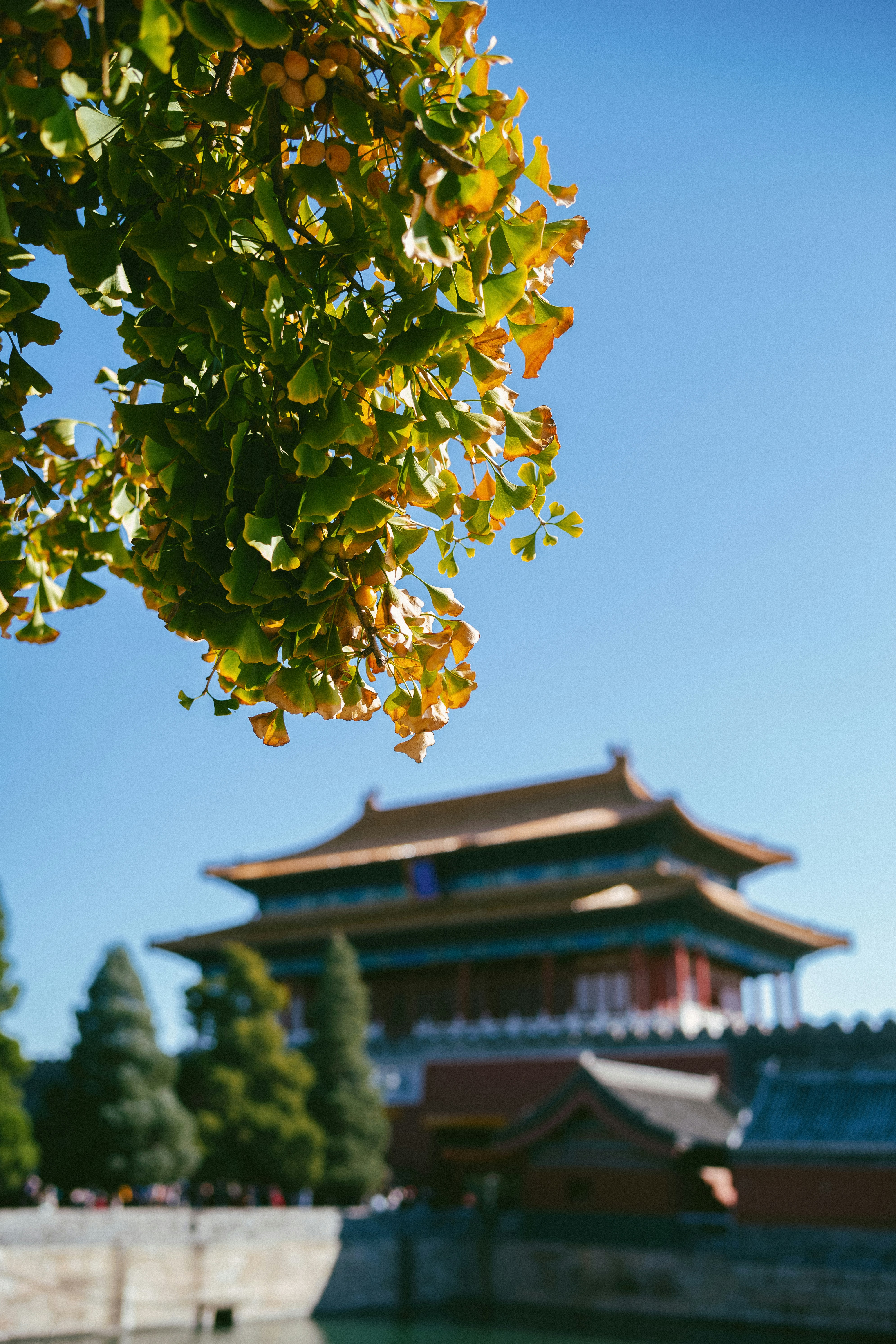 Photo by tommaomaoer