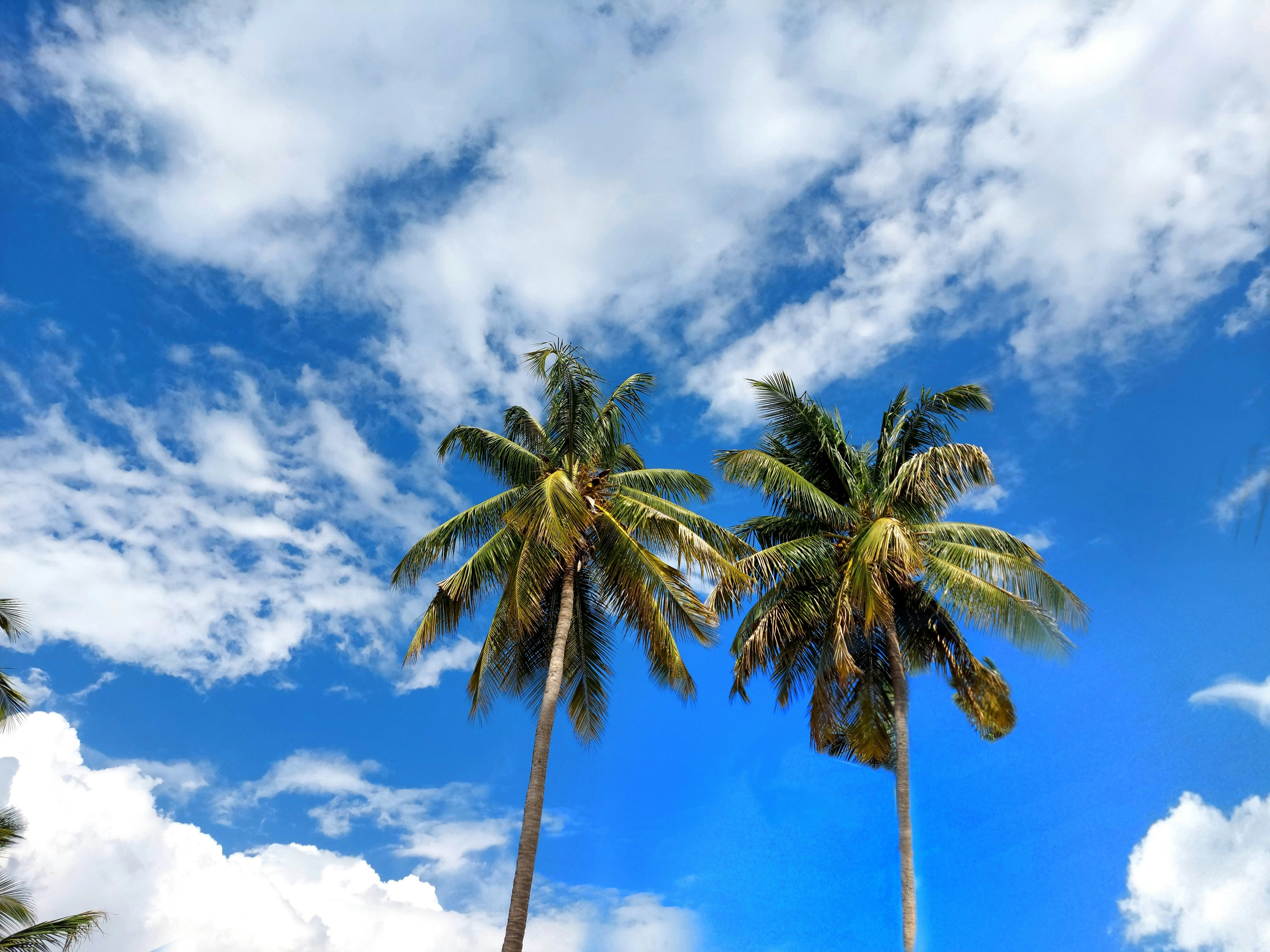 Photo by _jatin_suthar_