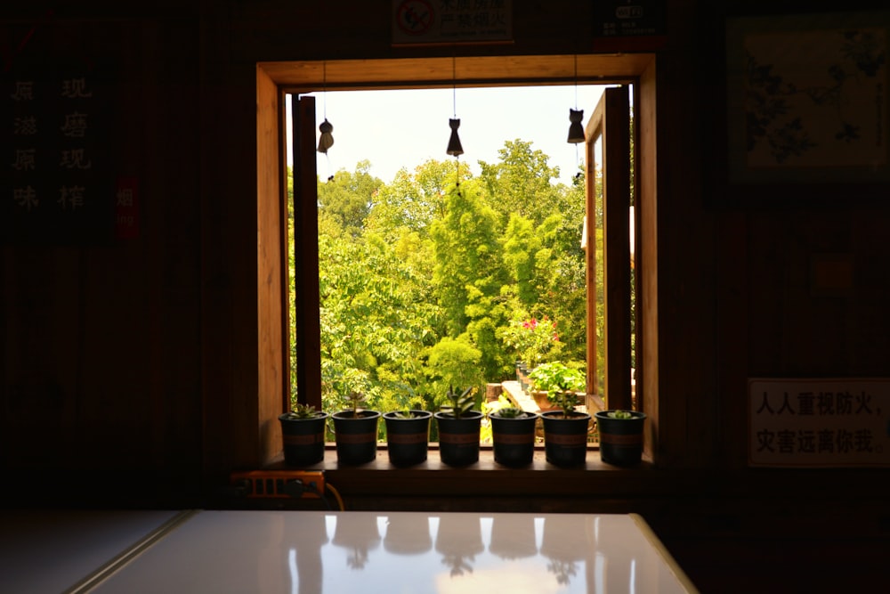 a window with a view of trees outside