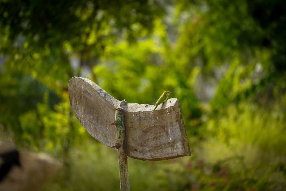a broken wooden object with a tree in the background