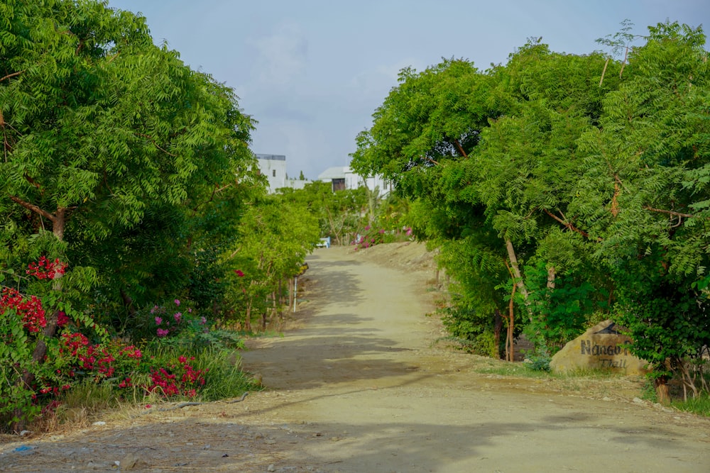 a dirt road surrounded by trees and flowers
