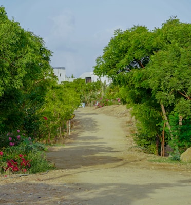 a dirt road surrounded by trees and flowers