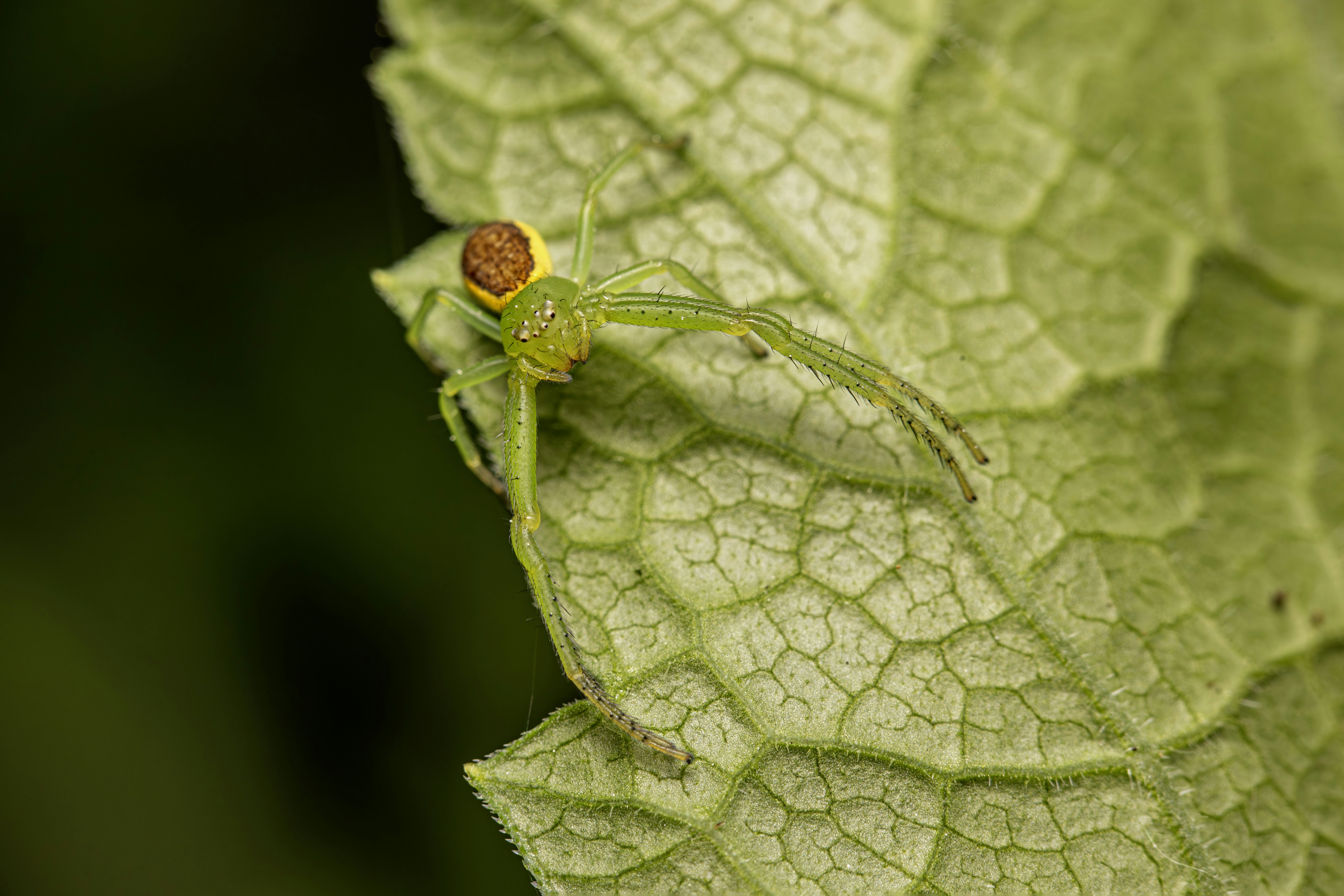 Photo by erik_karits