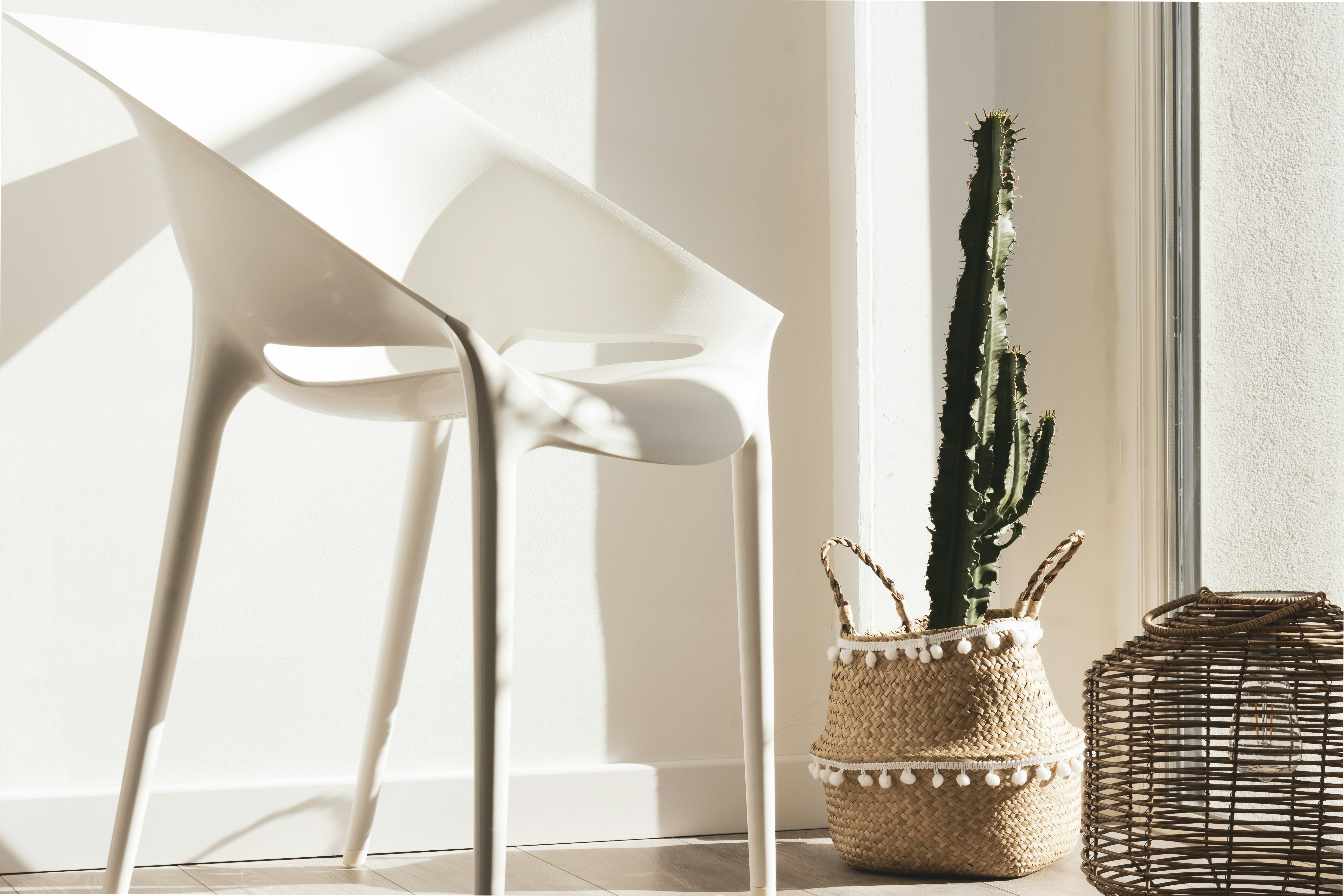a cactus in a basket next to a chair