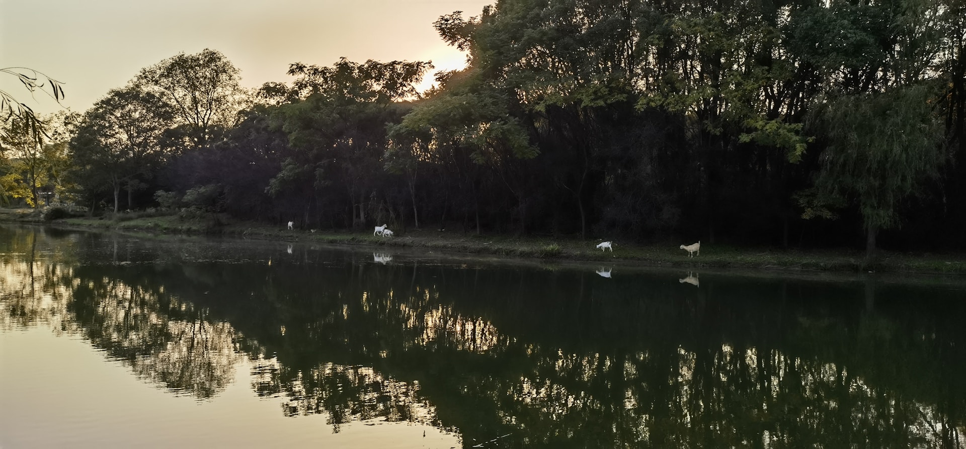 woman wearing yellow long-sleeved dress under white clouds and blue sky during daytime