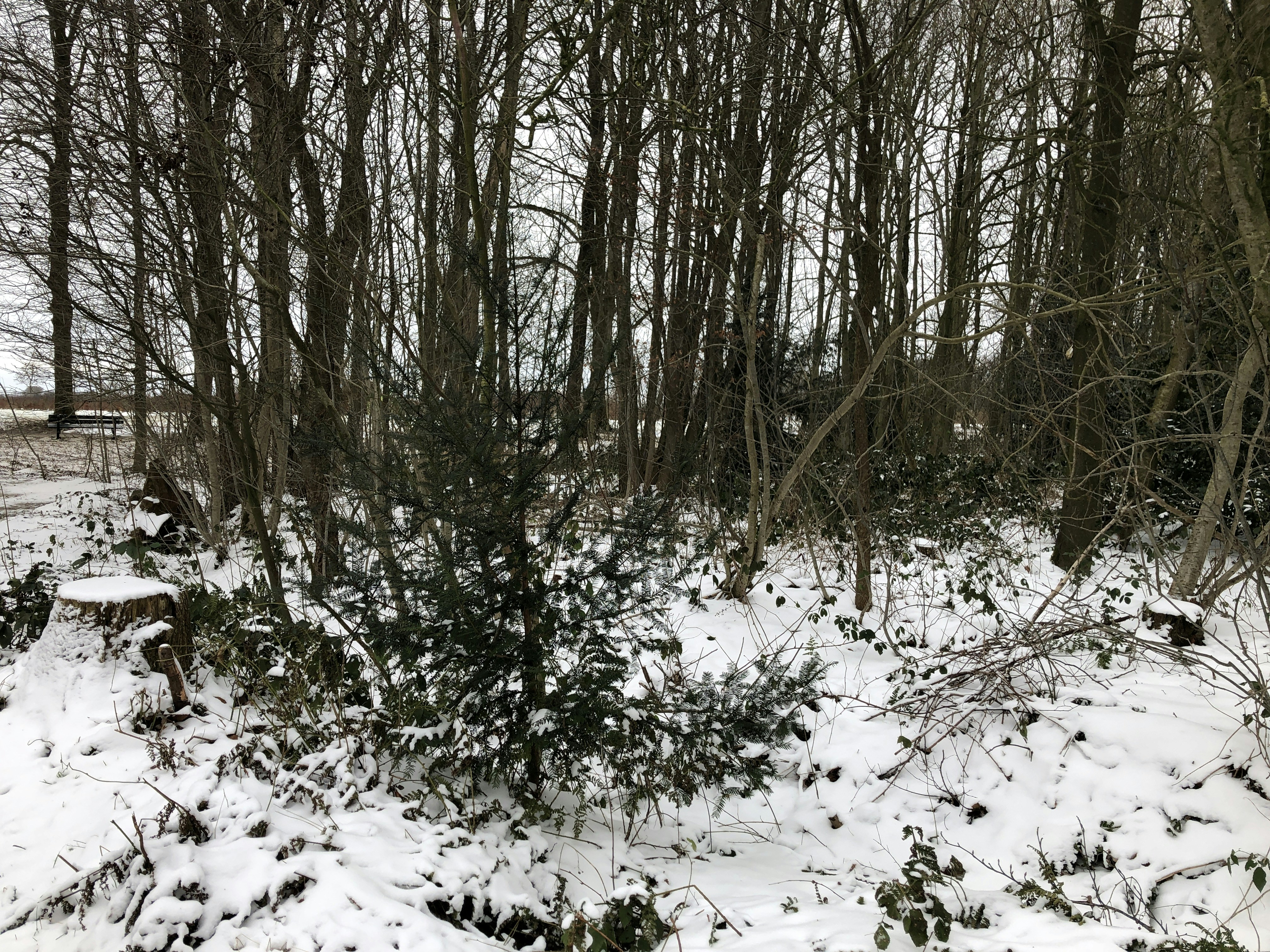 Photo by brendakayleex