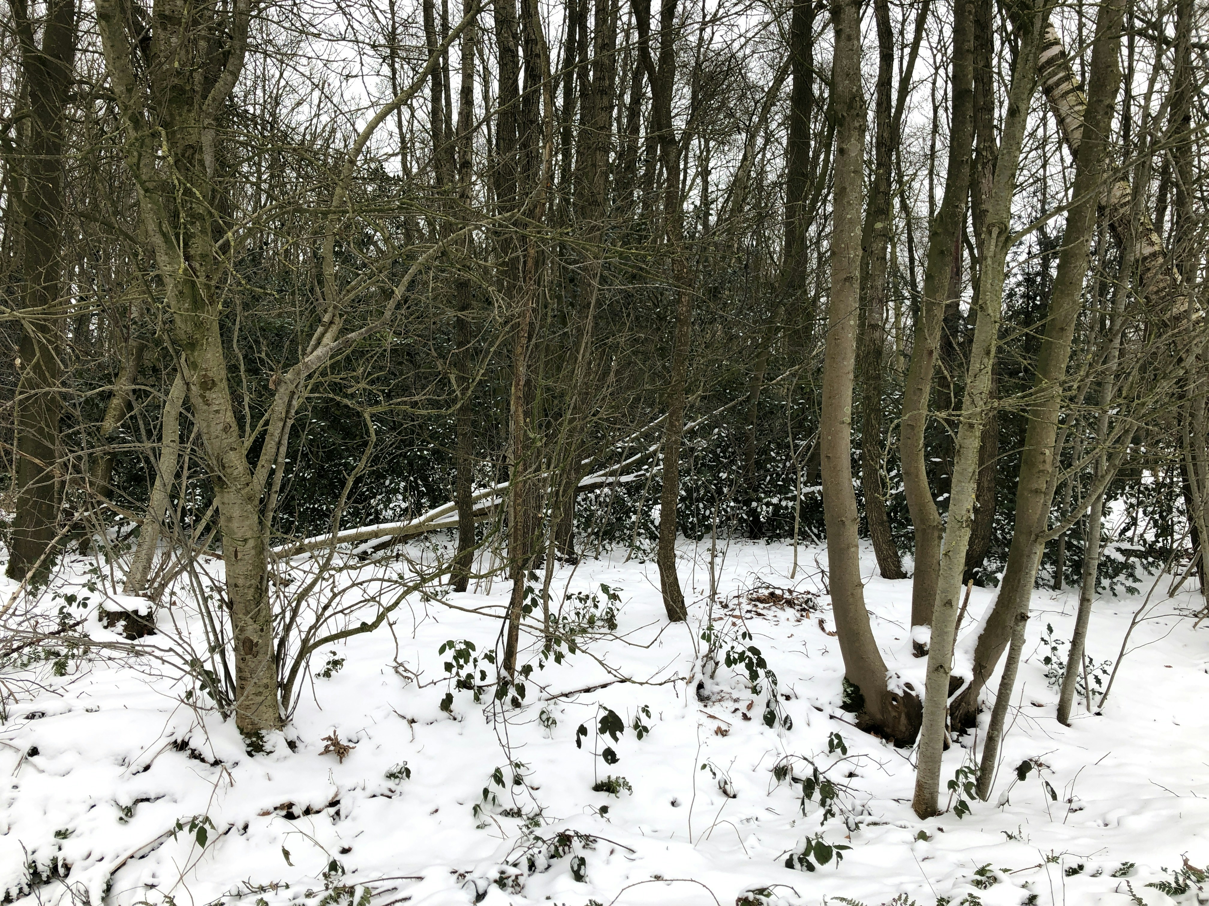 Photo by brendakayleex