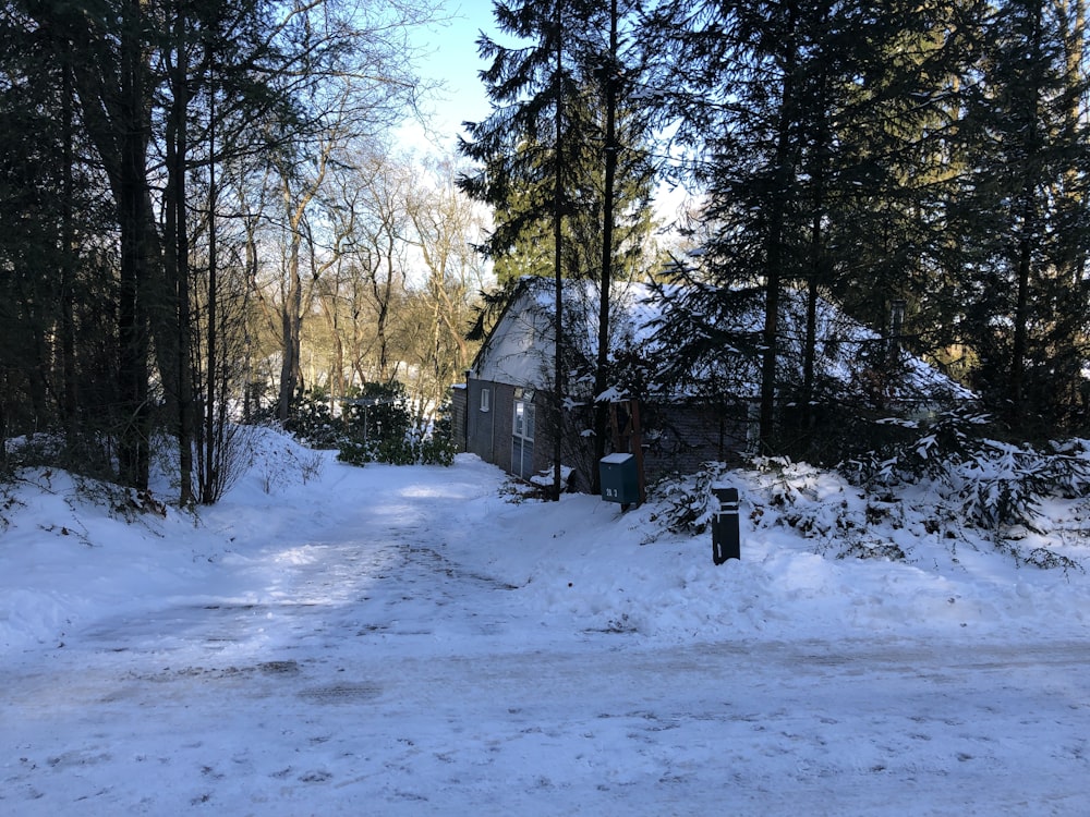 a house in the middle of a snowy road