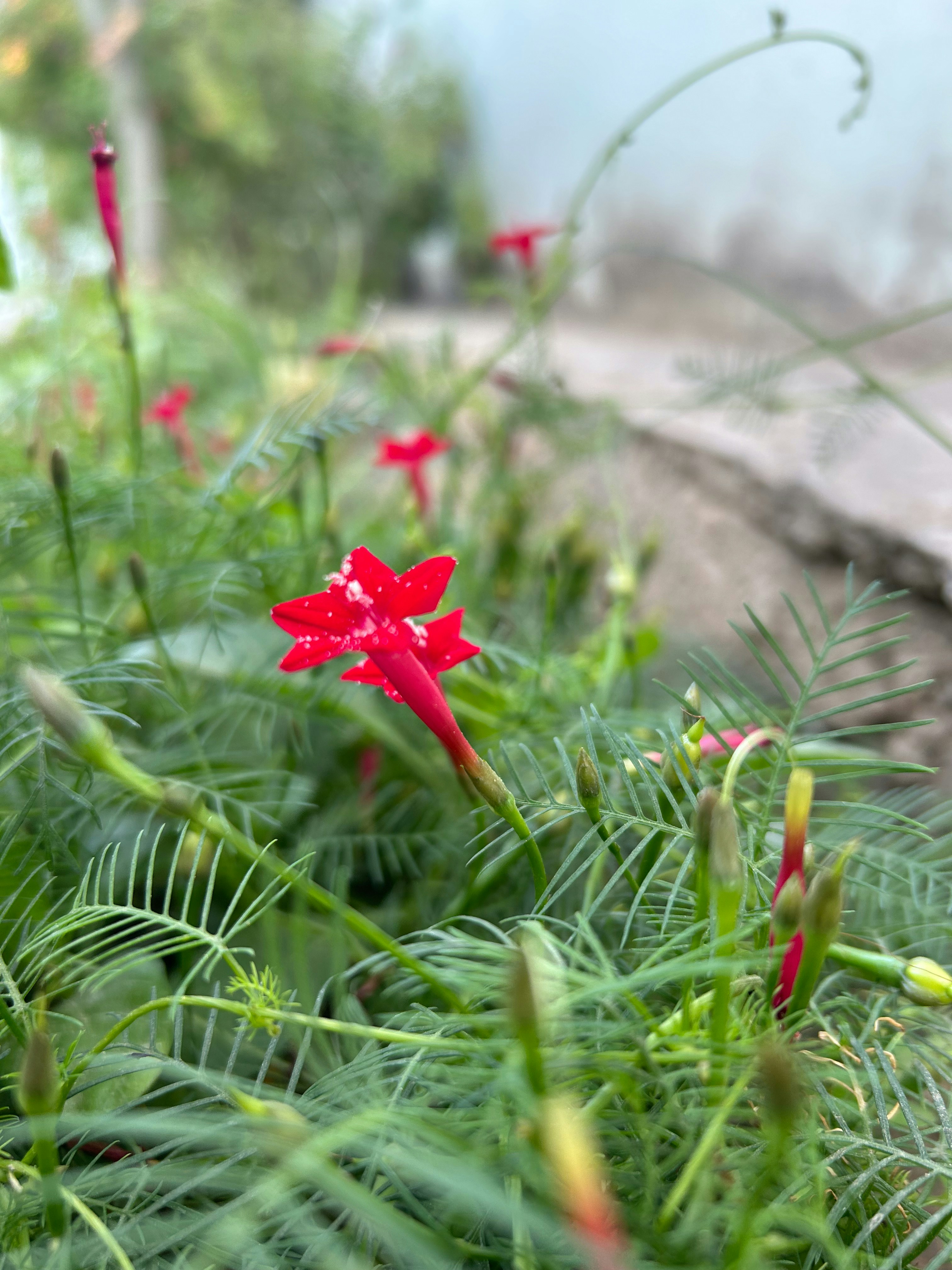 Photo by mahakrishan21