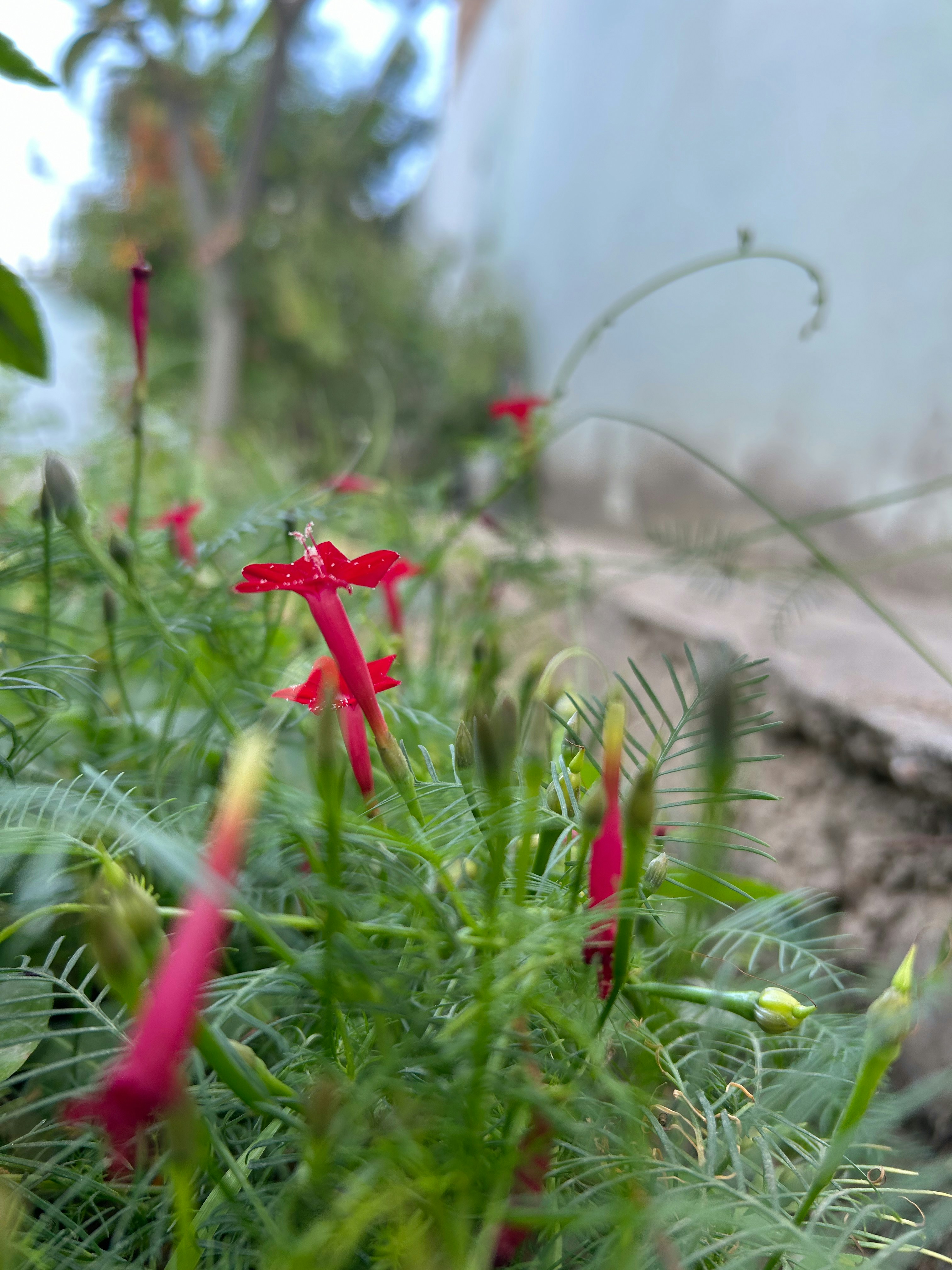 Photo by mahakrishan21