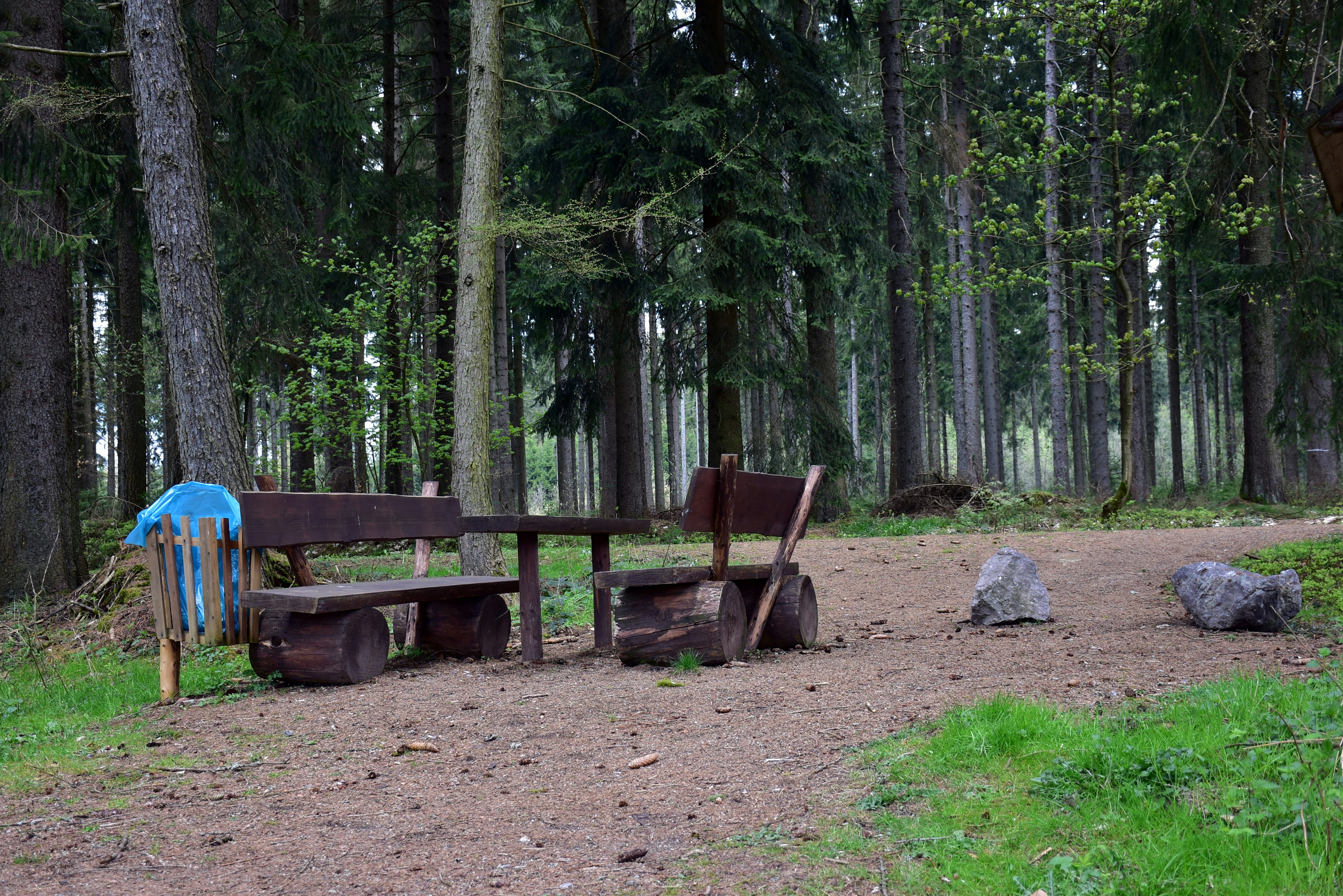 Timberline Park