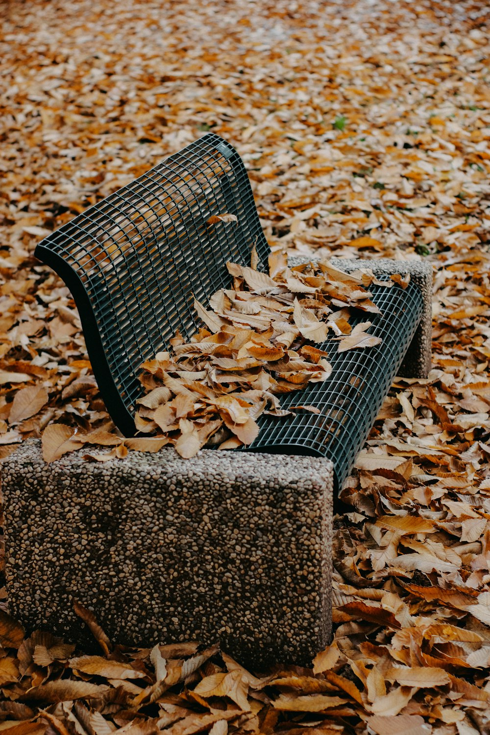 a park bench sitting on top of a pile of leaves