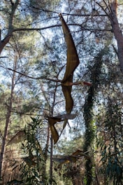 A wooded area with tall trees and dense foliage, featuring a large model of a pterosaur hanging between the branches. The model is detailed with broad wings spread out as if in flight, casting shadows and blending with the natural surroundings.