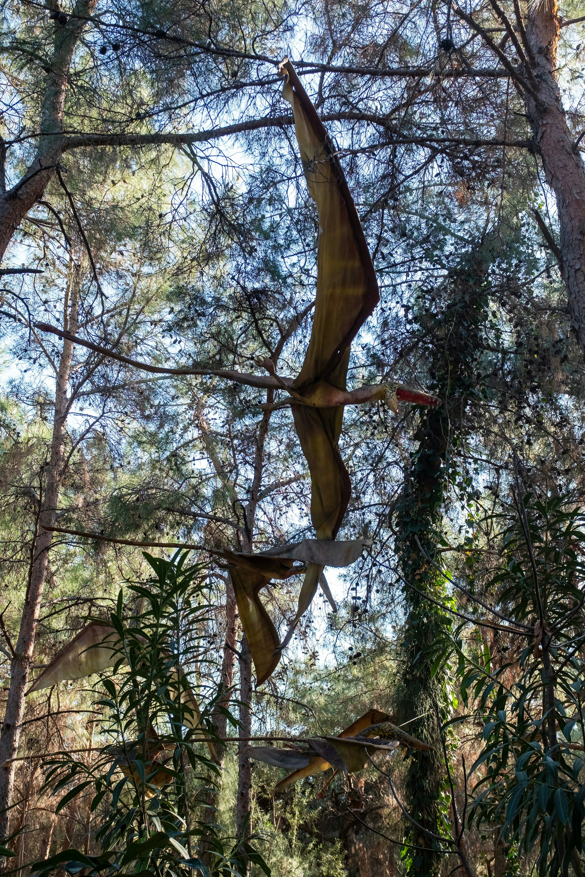 a snake hanging from a tree in a forest