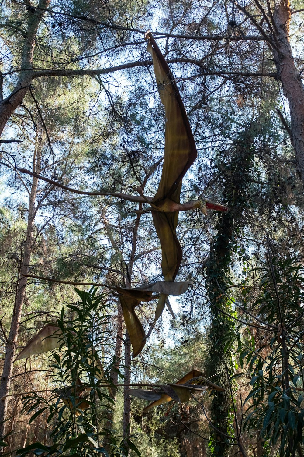 a snake hanging from a tree in a forest