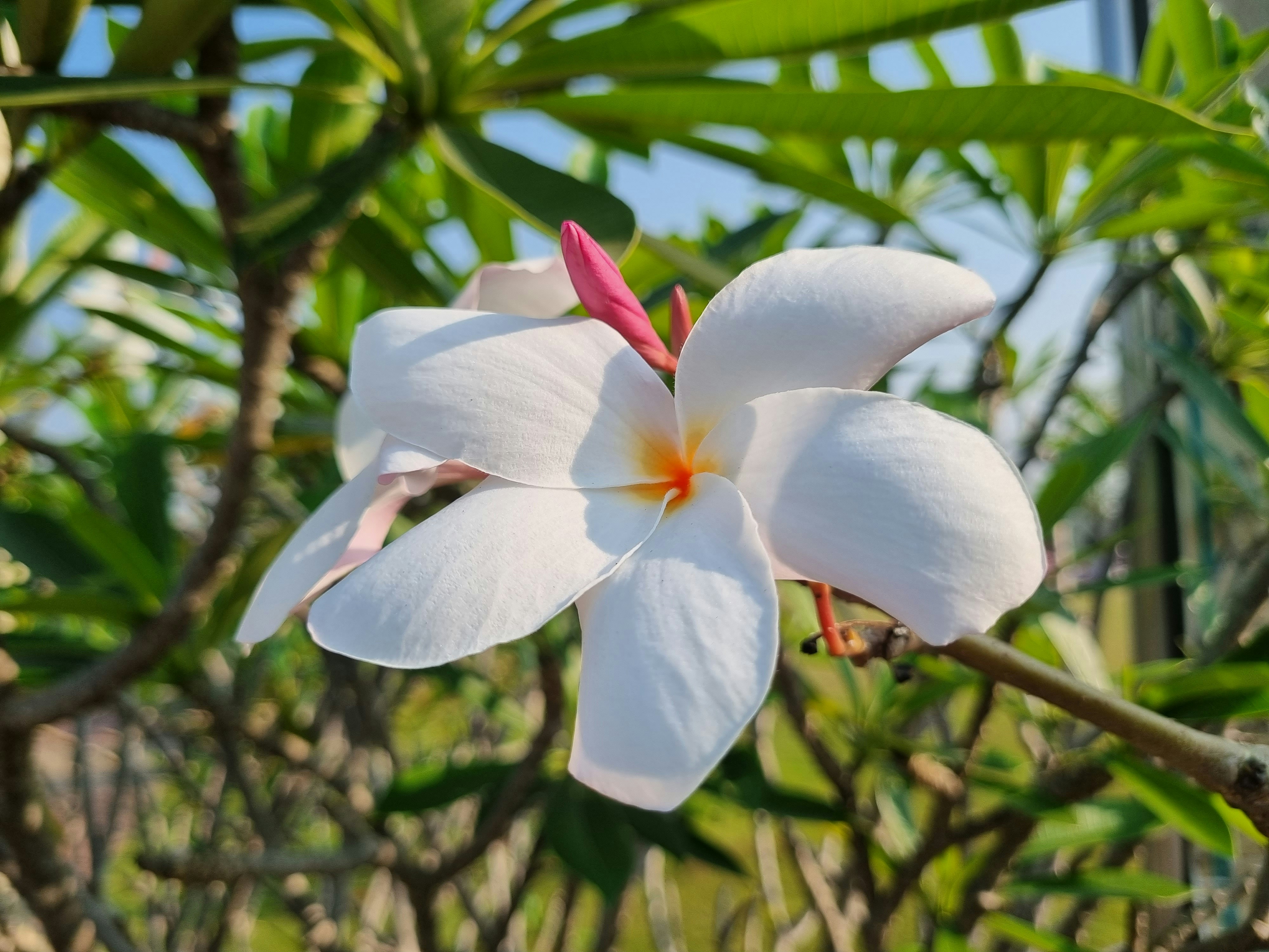 Photo by zakir_hussain