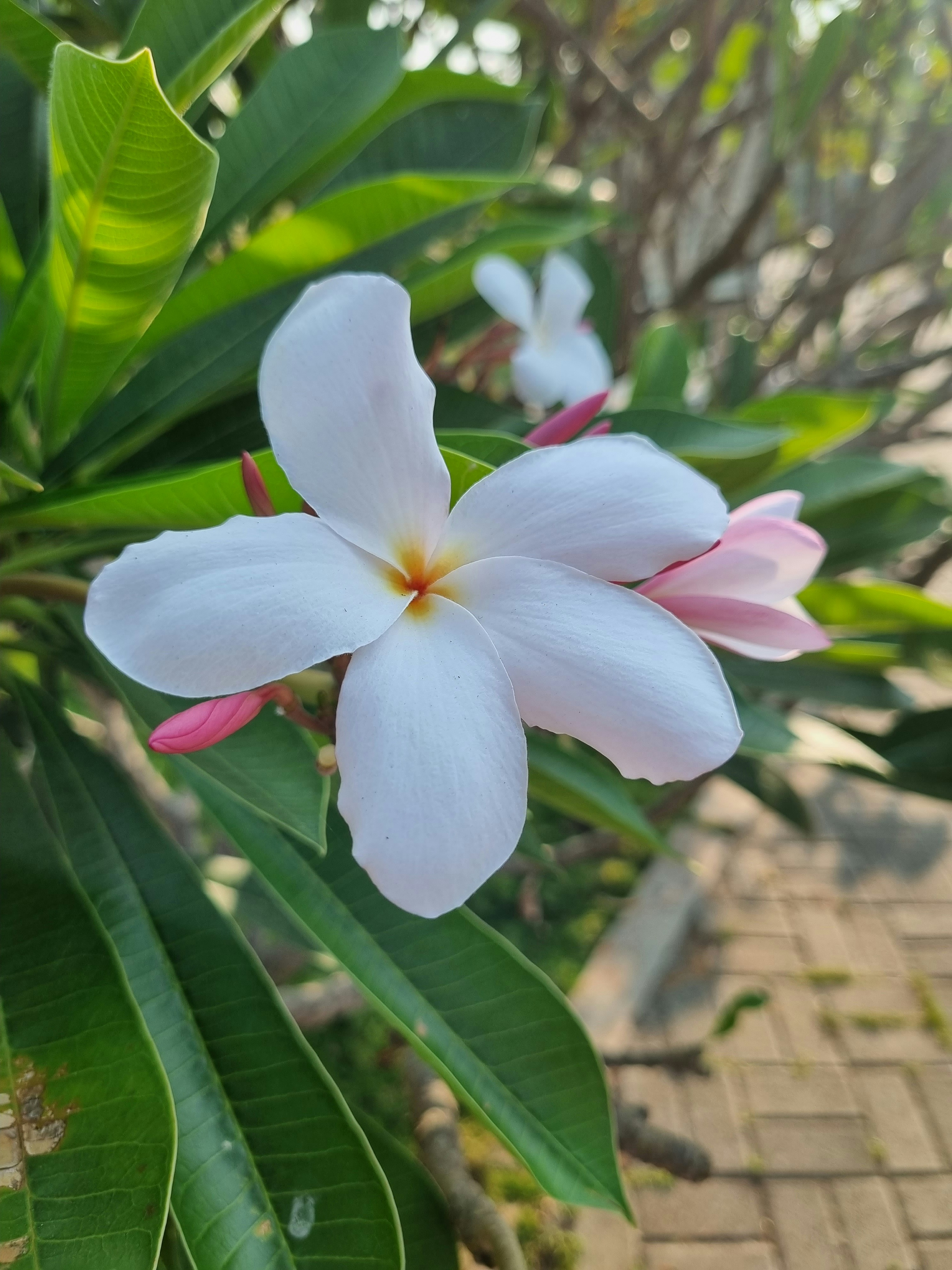 Photo by zakir_hussain