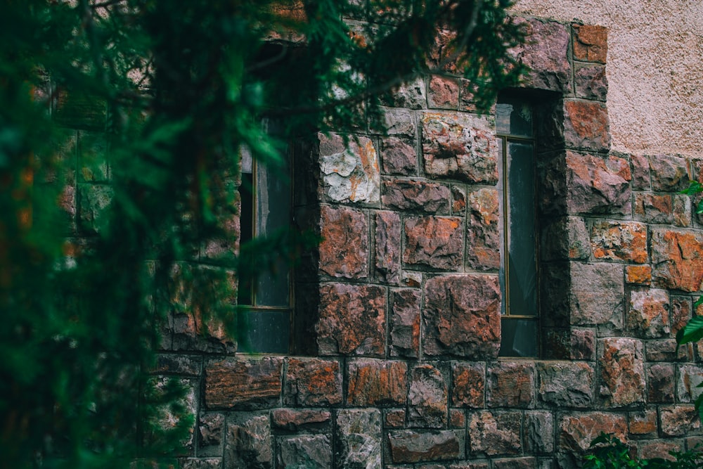 a stone building with two windows and a tree