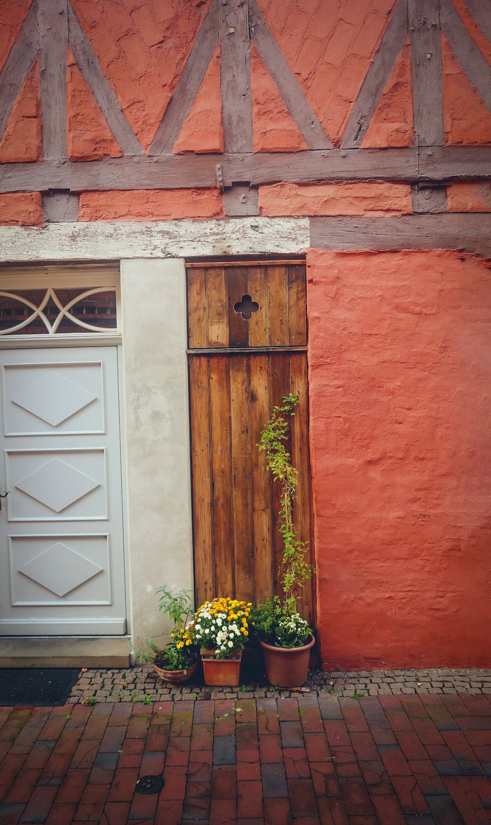 a couple of potted plants sitting in front of a door