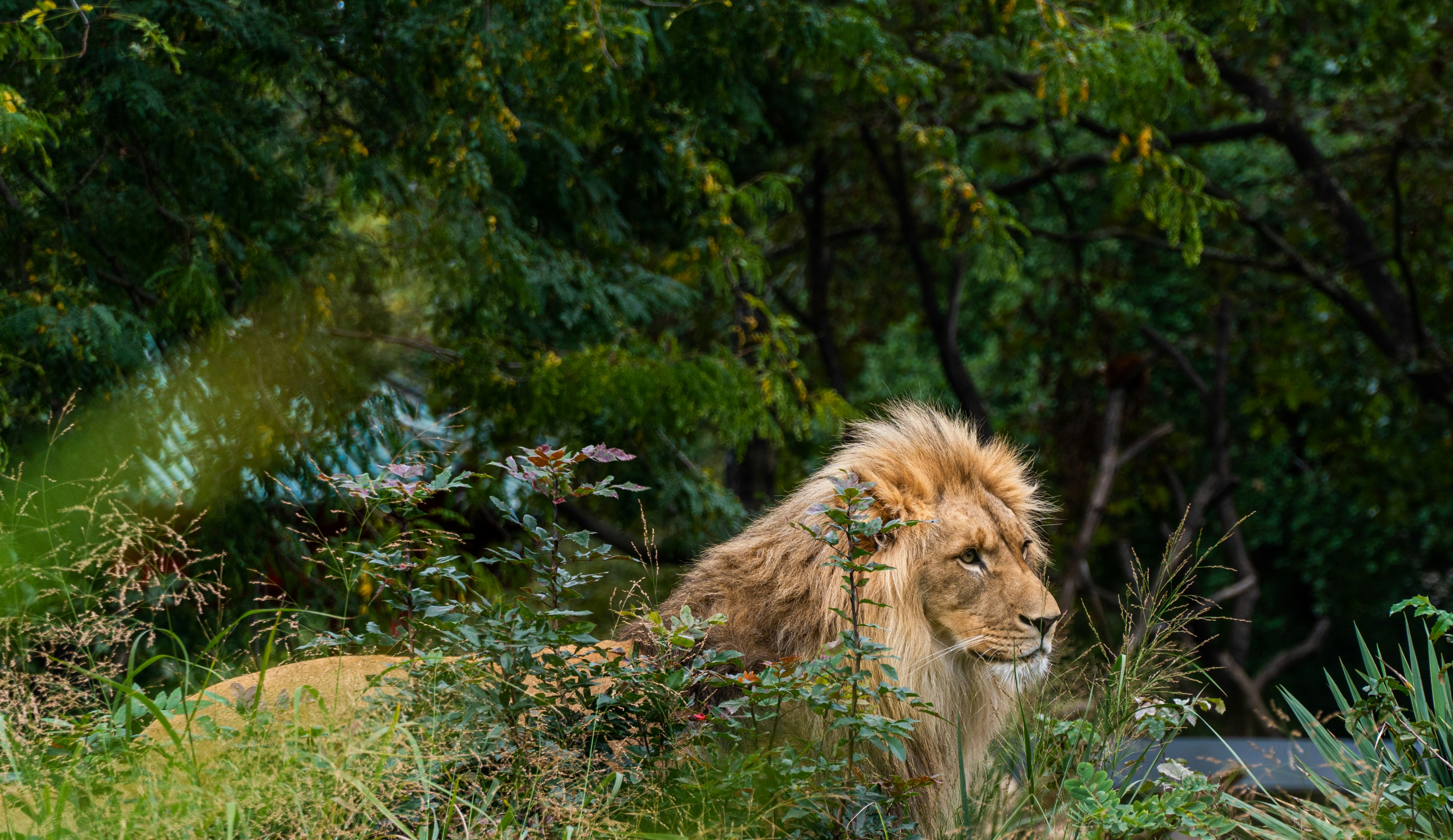 Photo by thierry_biland