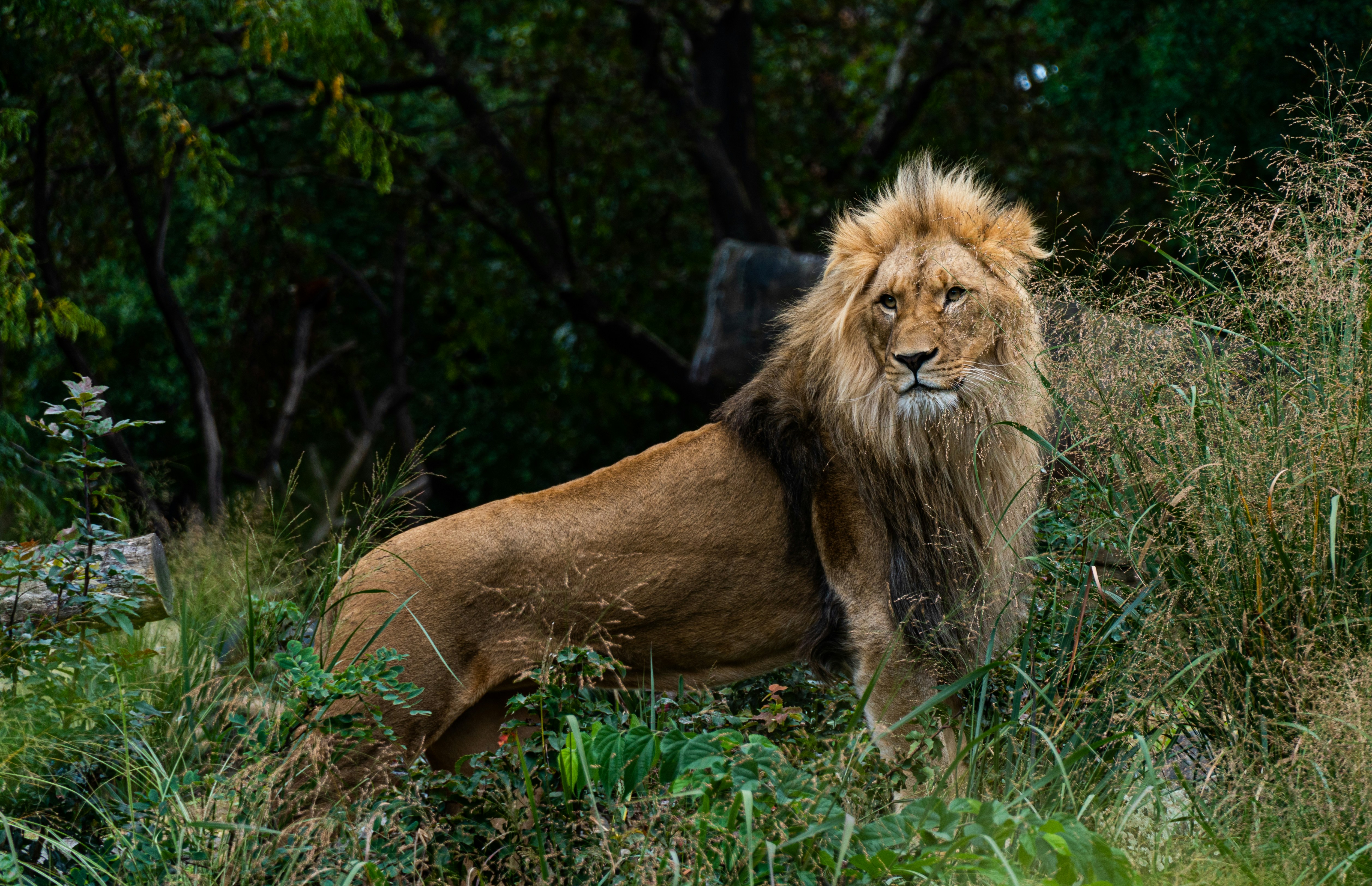 Photo by thierry_biland