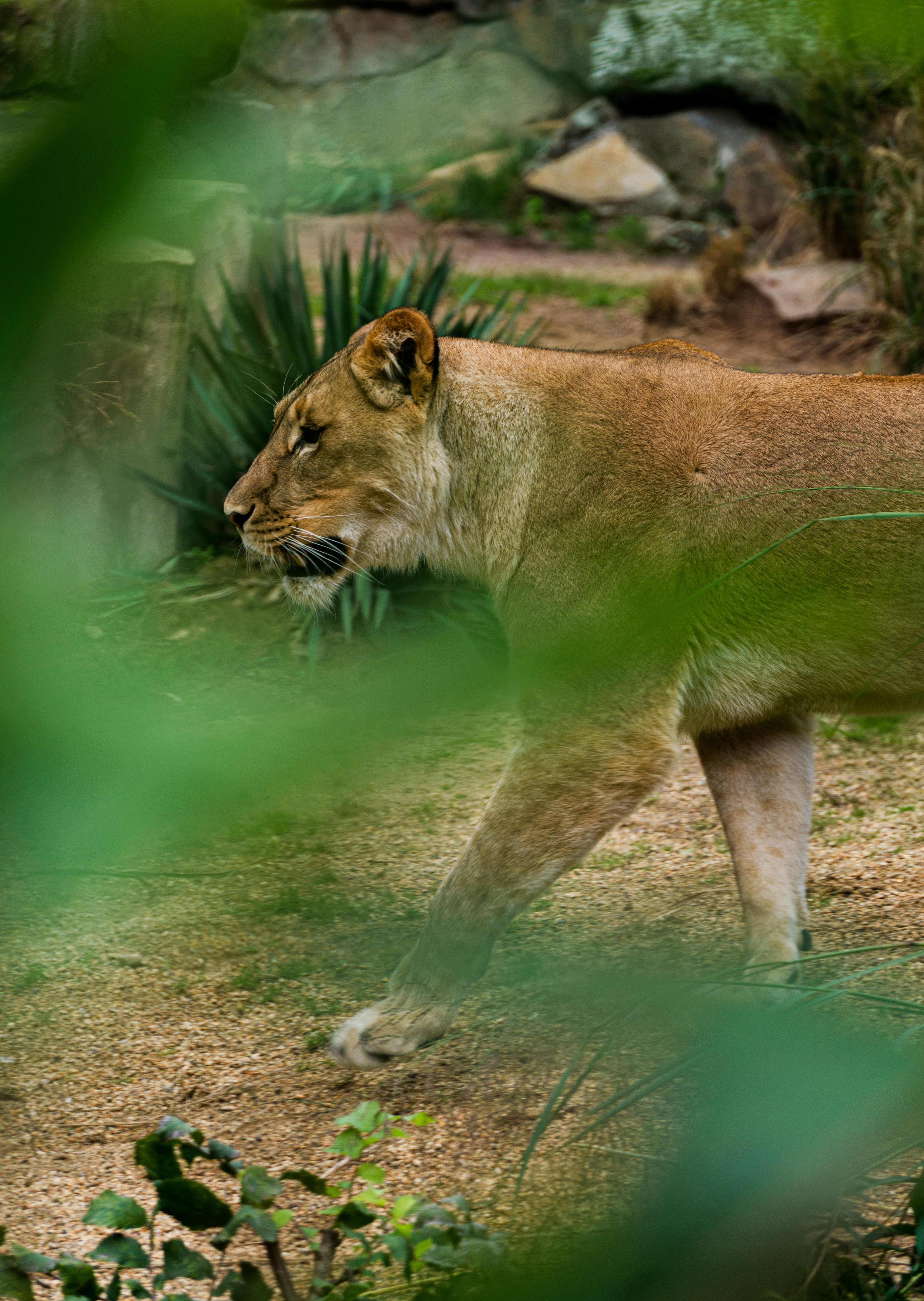 Photo by thierry_biland