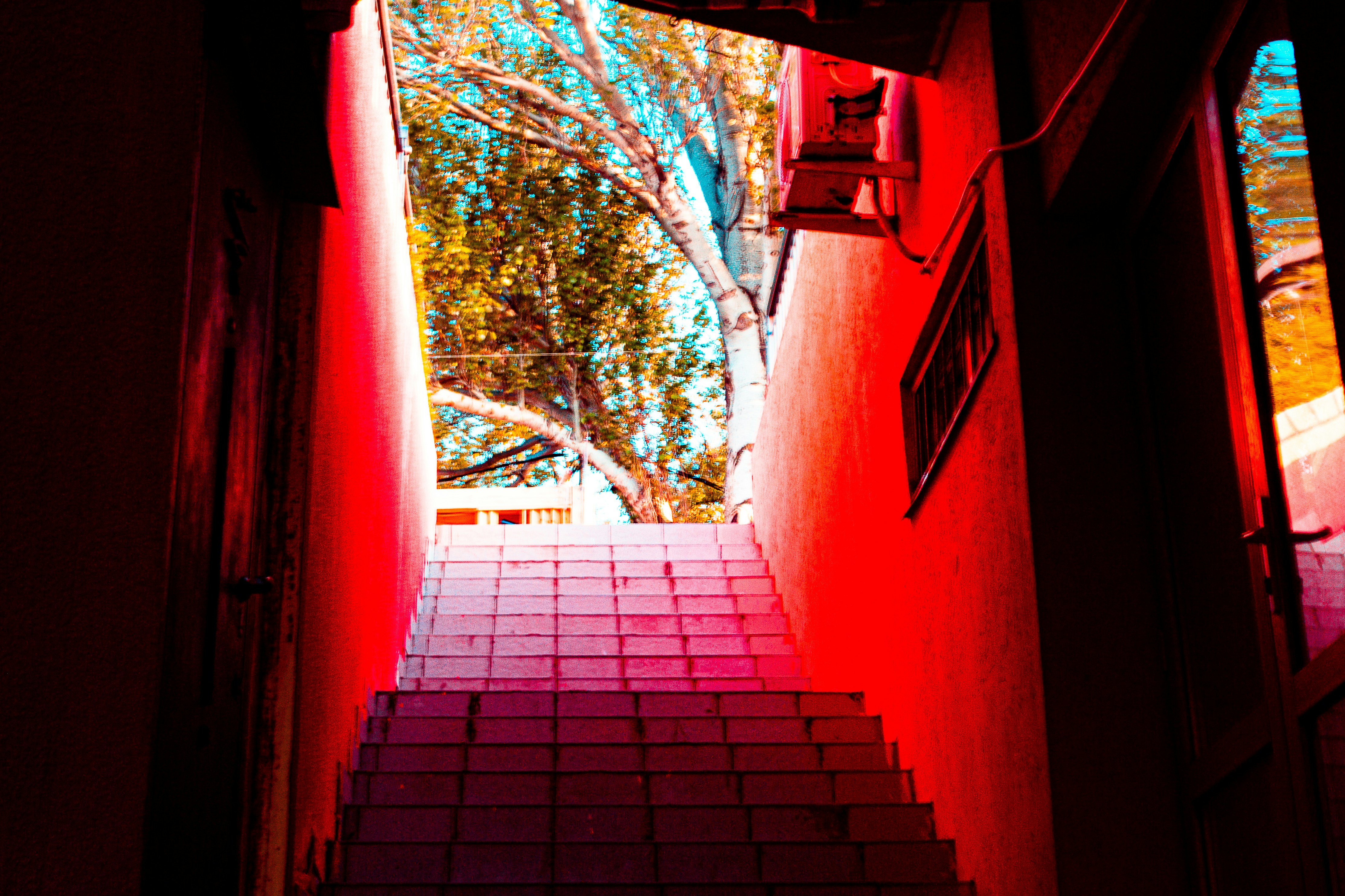 a red staircase leading up to a tree