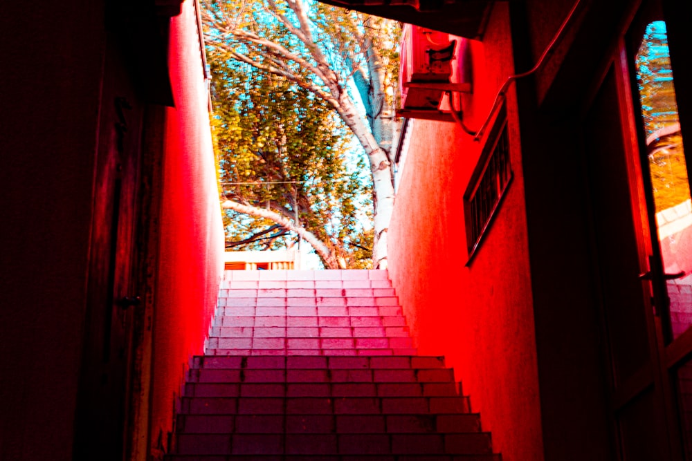 a red staircase leading up to a tree