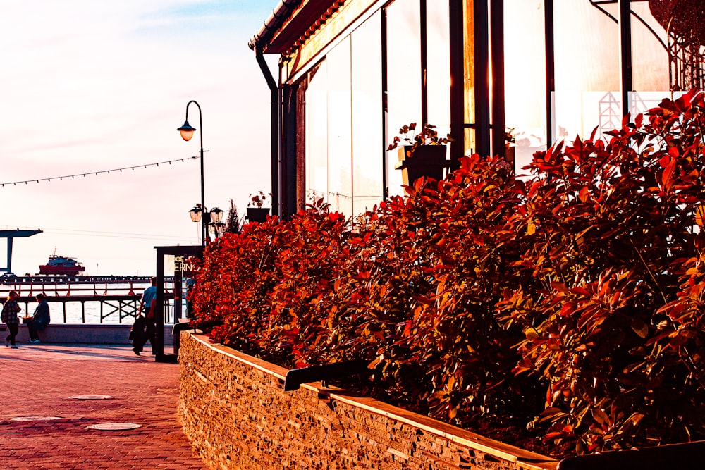 a red brick sidewalk next to a building with a clock tower in the background