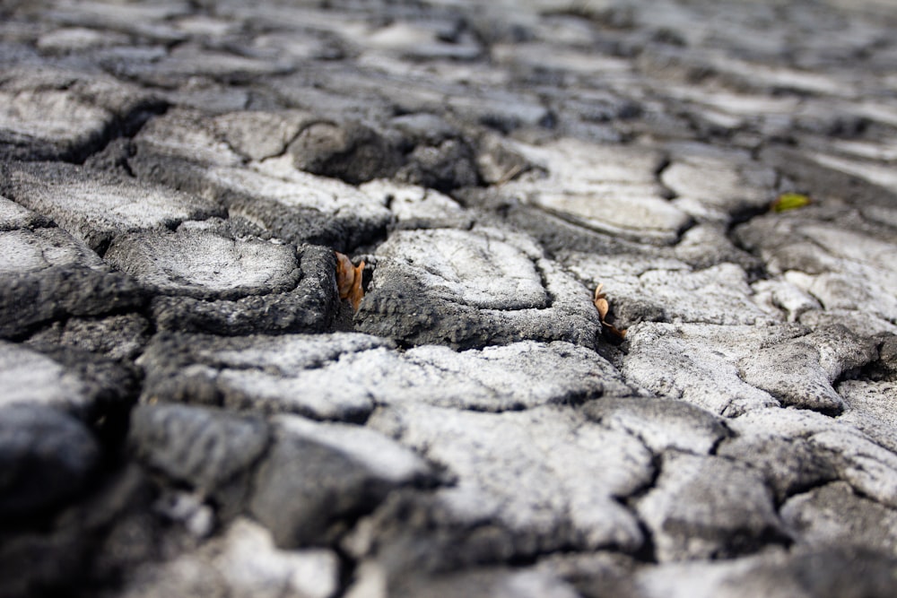 a close up view of a cracked road