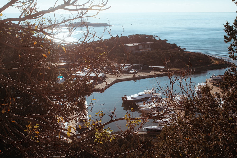 a view of a harbor with boats in the water