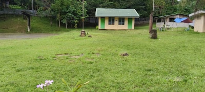 A small house with a green roof and yellow walls is situated in a grassy area, surrounded by lush trees. In the foreground, there is a cluster of pink flowers. Nearby, a path and additional structures are visible.