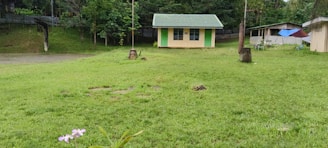 A small house with a green roof and yellow walls is situated in a grassy area, surrounded by lush trees. In the foreground, there is a cluster of pink flowers. Nearby, a path and additional structures are visible.