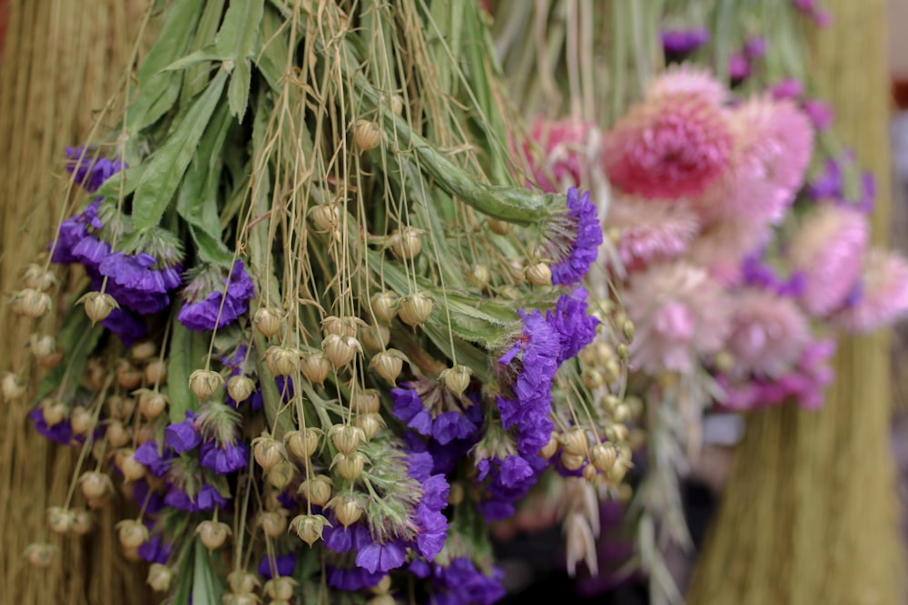 a bunch of purple flowers hanging from a tree