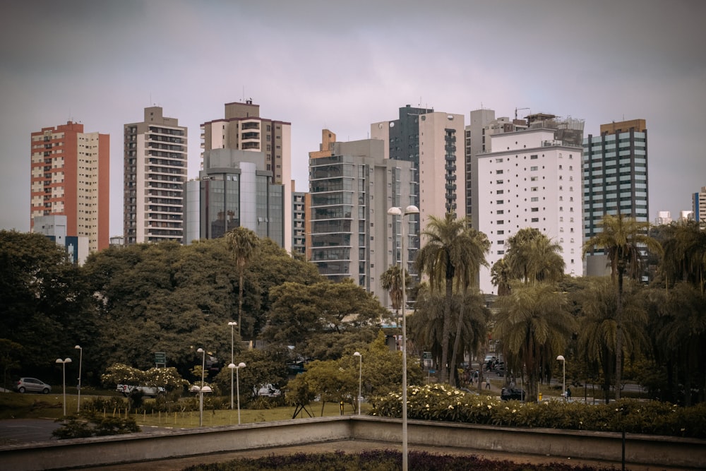 a city skyline with tall buildings and palm trees