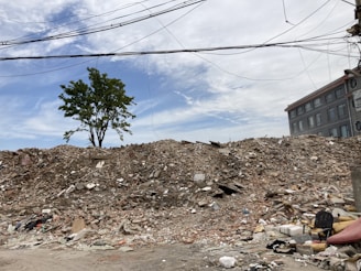 A large pile of rubble and debris is seen in the foreground, possibly from a demolished building, with a single tree standing on top. Electric wires stretch across the sky, and a multi-story building is visible to the right. The scene appears desolate and abandoned.
