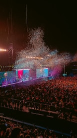 a large crowd of people at a concert