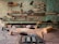A woodworking workshop with various tools neatly arranged on wall-mounted shelves. The tools include saws, files, clamps, and hand planes. The workbench is cluttered with wooden planks, chisels, a mallet, and shavings. The background features a textured green wall, providing a rustic atmosphere.