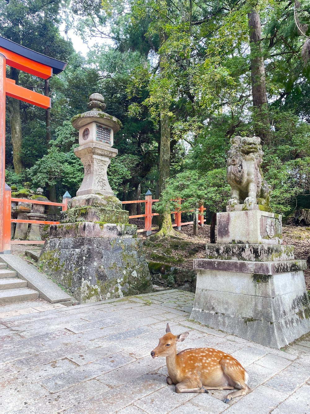 a deer laying on the ground in front of a shrine
