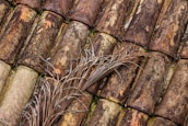 Close-up of roofing tiles with palm trees swaying in the background.