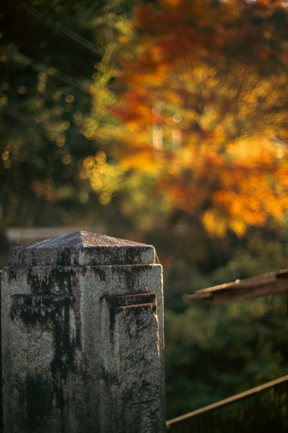 a bird perched on top of a cement pillar