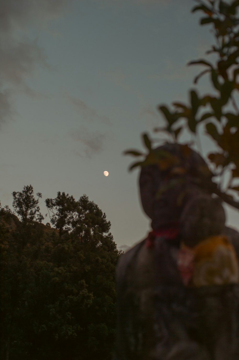 a man standing in front of a tree with the moon in the background