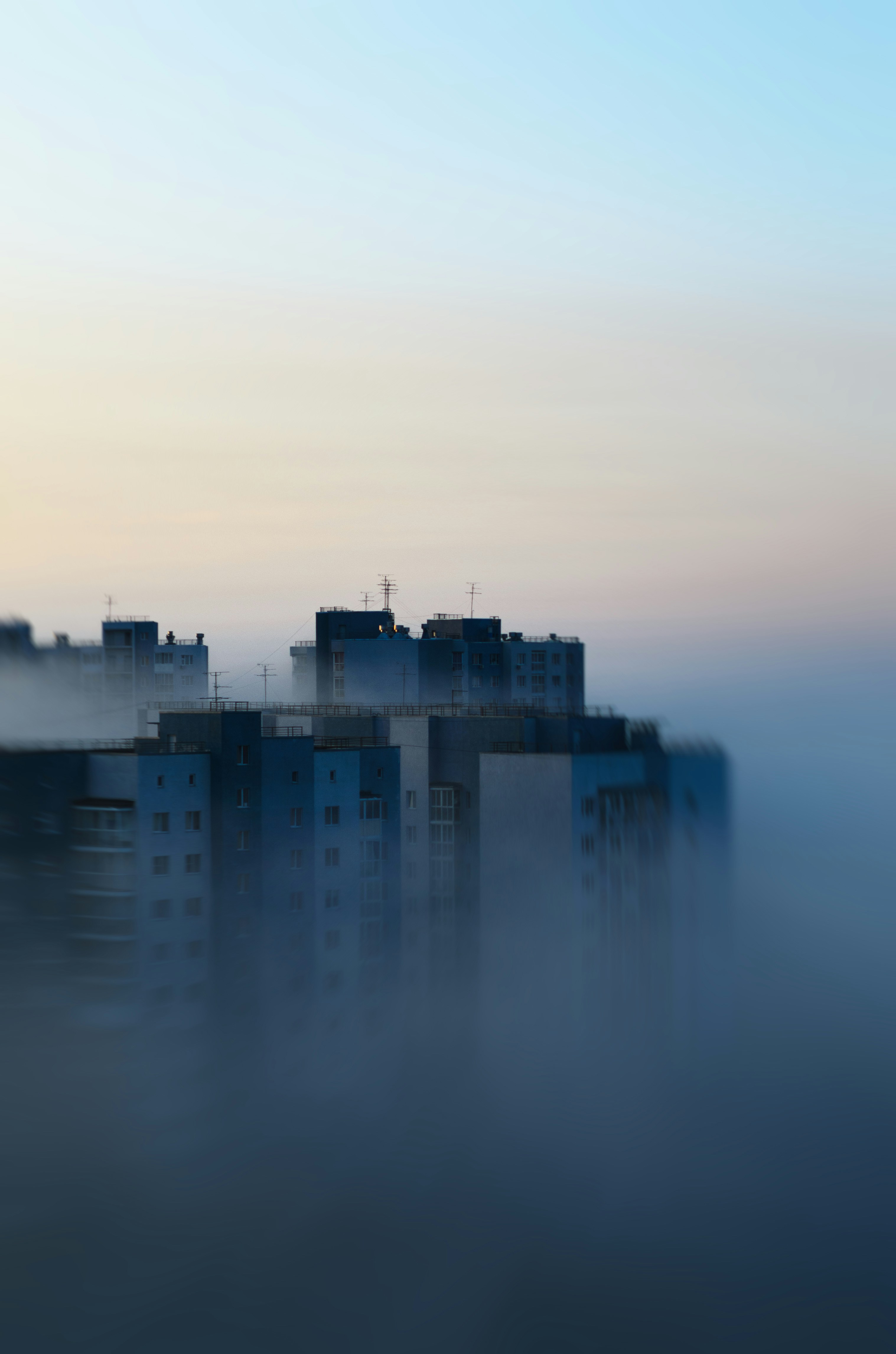 Photo by litvinov
