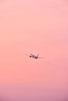 A sleek commercial airplane taking off against a clear blue sky with soft pink hues at dawn.