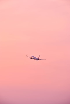 Animated plane ascending against a gradient sky from day to sunset.